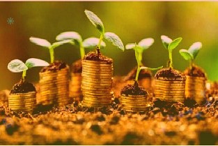 广西艺术统考29日公布成绩